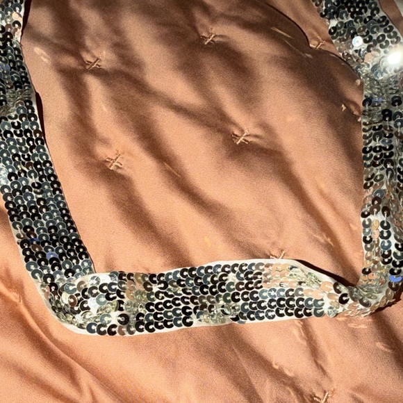 Dolce & Gabana Silver Sequin Belt main image 5